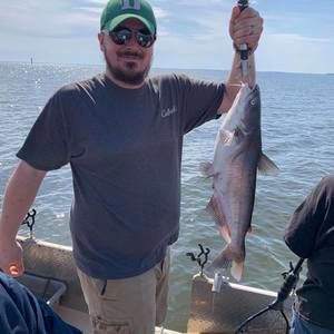 Meet your Posher, Jonathan